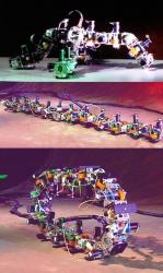 47-polybots-modular-robots.jpg