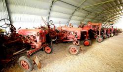 5 farmall ih and pony straddle tractors