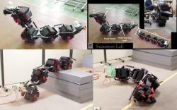 Acm r8 snake robot from hibot