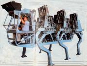 ASV Walking Machine, 1984