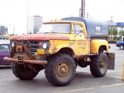 Dodge w 300 swamp fox