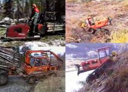 forest-vehicles-1.jpg