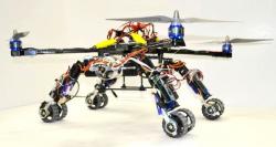 Hybrid robot herald