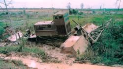 Letourneau tree crusher