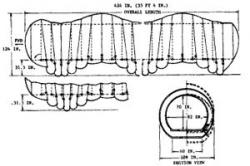 lunar-worm-1966-2.jpg