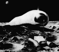 lunar-worm-1966.jpg