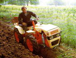 pasquali-articulated-tractor-4x4.jpg