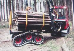 terri-34-forwarder.jpg