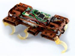 Velociroach robot